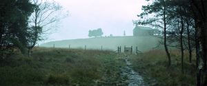 A Monster Calls - The chapel on the hill with a tree in the yard